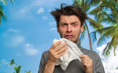 The most common allergens in FNQ (and how to avoid them)